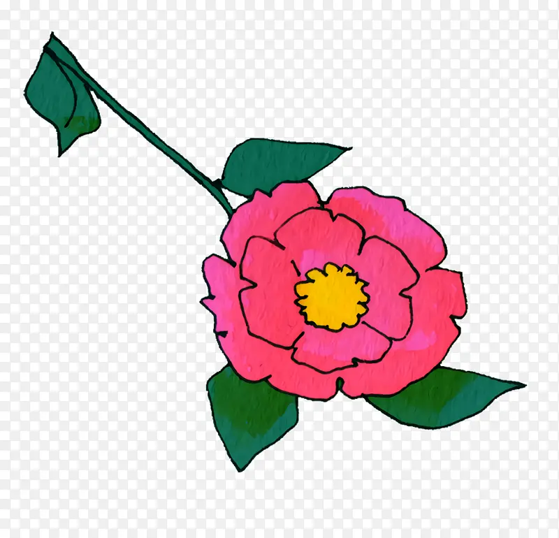玫瑰科 植物茎 花卉设计