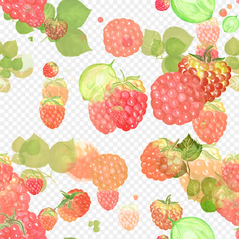 草莓 覆盆子 泰贝里