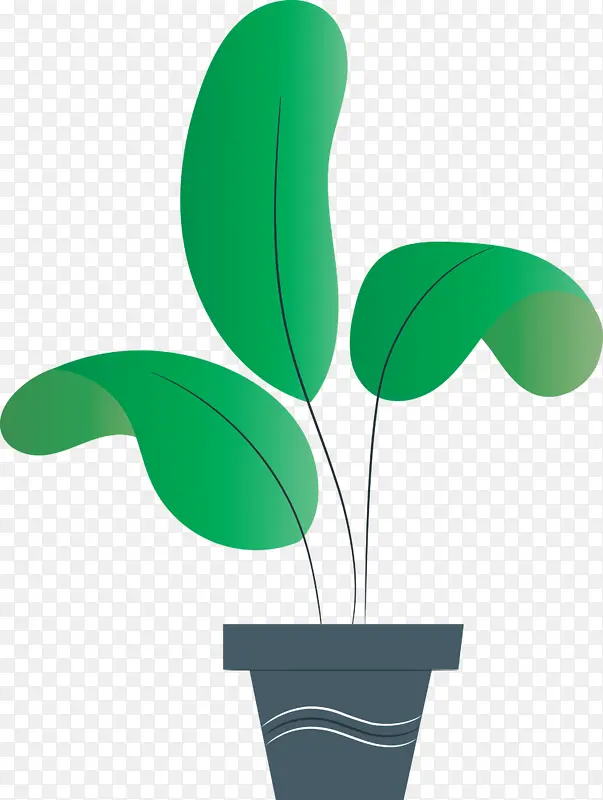 安卓 安卓软件开发 植物茎