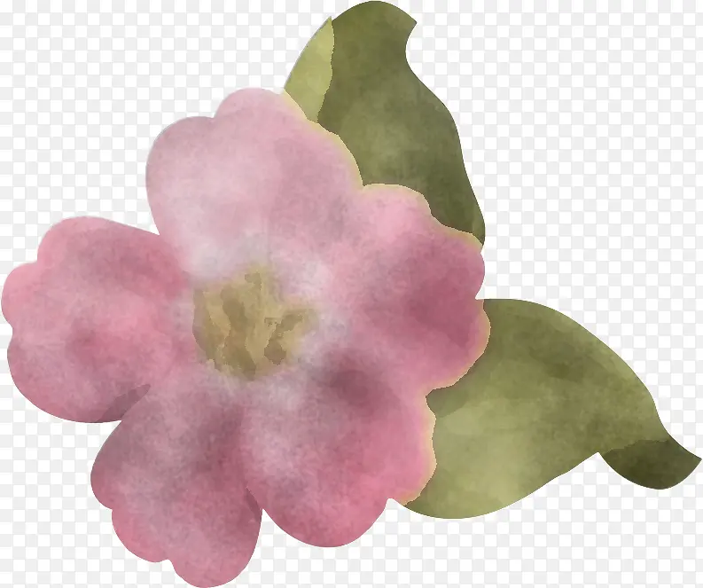 花 植物 科学
