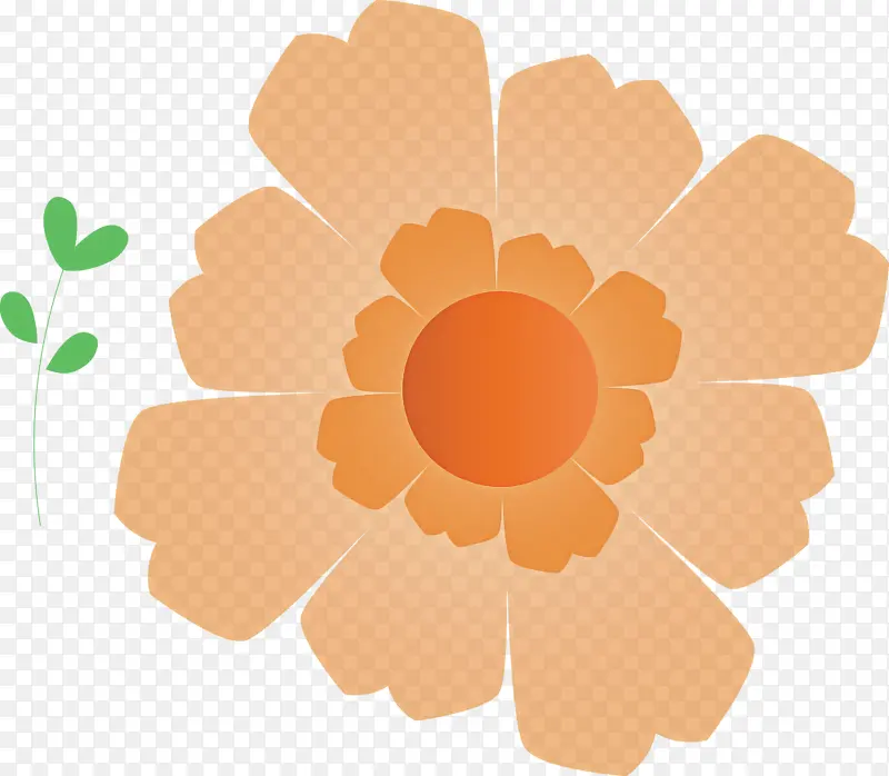 墨西哥元素 花卉设计 菊花