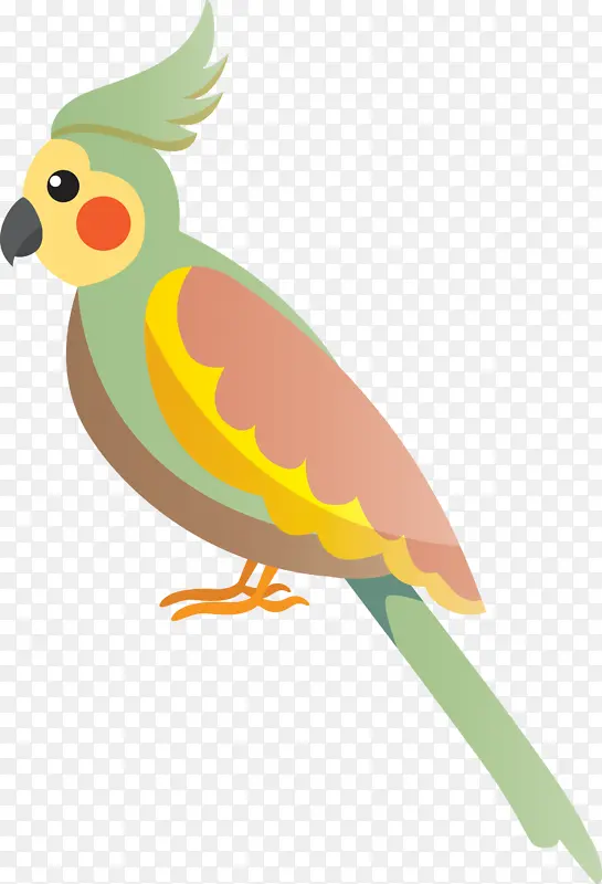 鸟类卡通 可爱的小鸟 虎皮鹦鹉