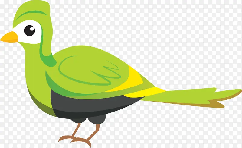 鸟卡通 可爱的鸟 鸭子