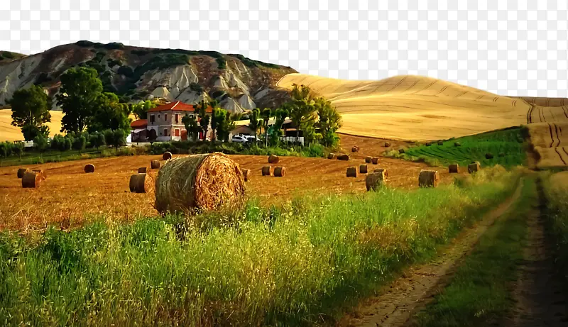 利塔利亚诺 农村地区 草地