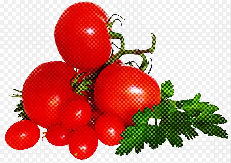 灌木番茄 番茄汁 披萨