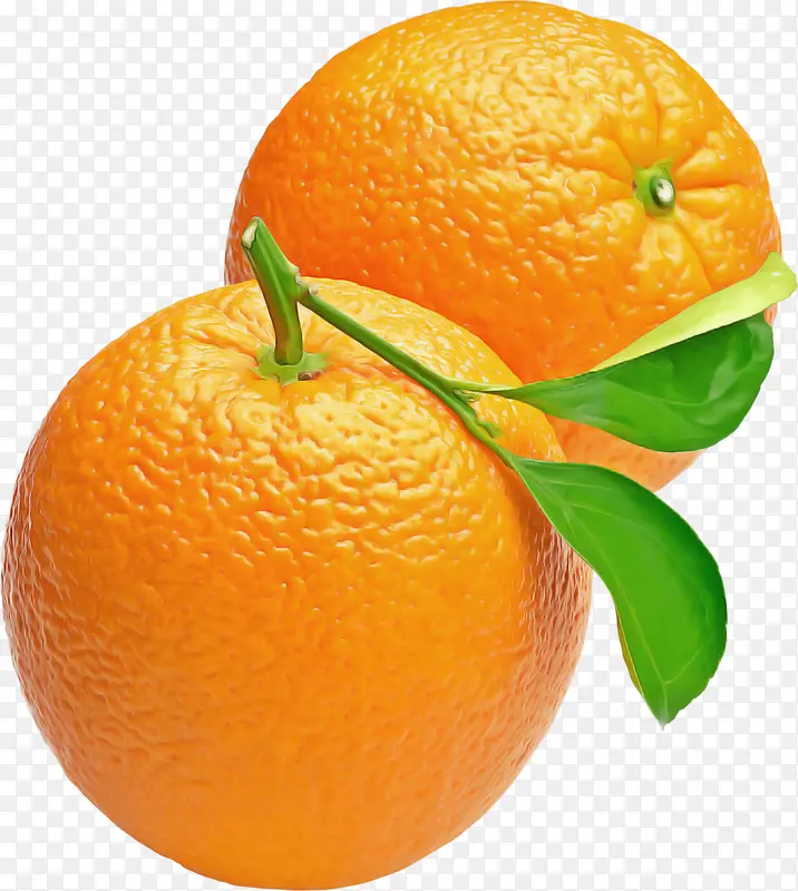 血橙 克莱门汀 水果