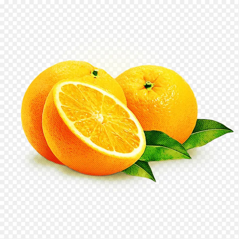 橙子 精油 水果