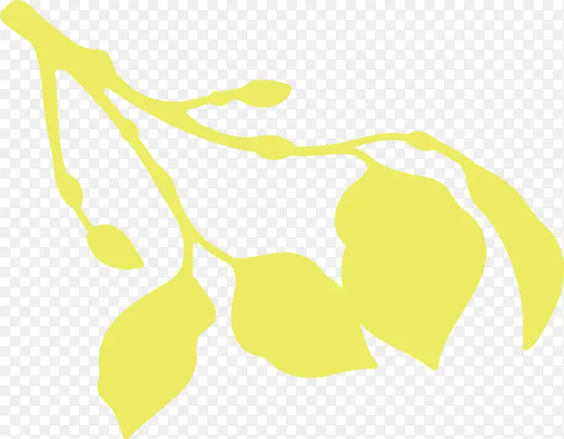 叶子 黄色 线条