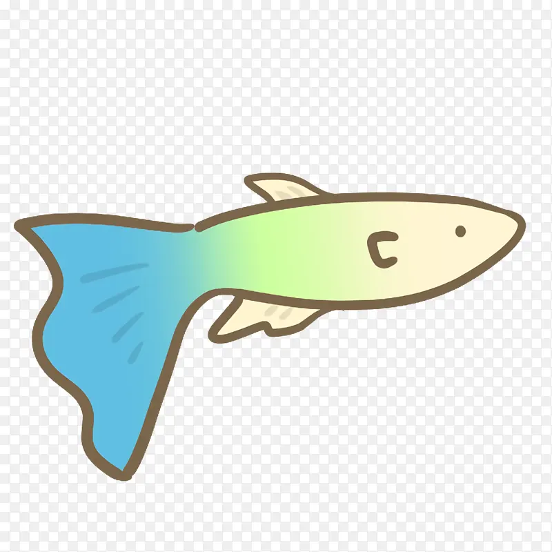 鱼类 科学 生物学