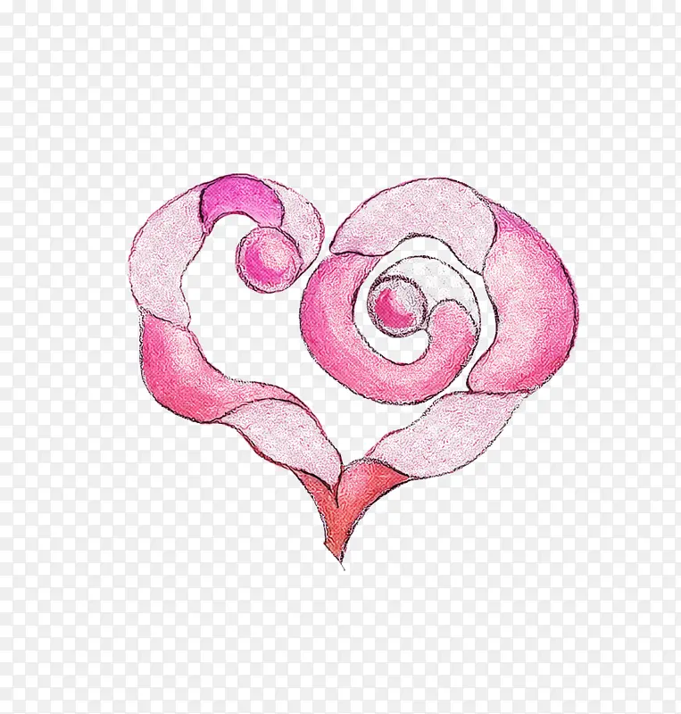 心形 花园玫瑰 水彩画