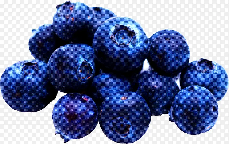 蓝莓 蓝莓派 越橘