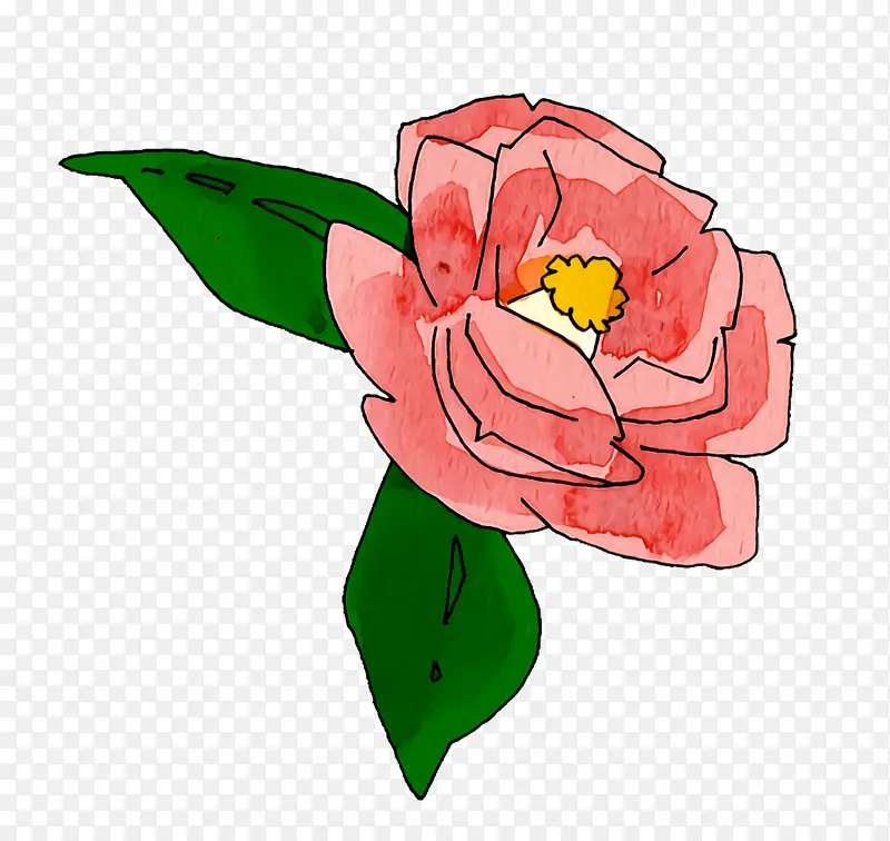花园玫瑰 花卉设计 切花