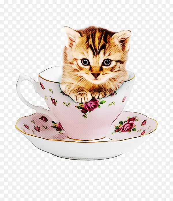 咖啡杯 小猫 咖啡