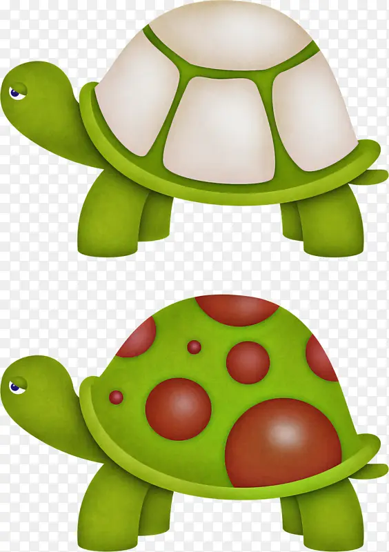 乌龟 爬行动物 海龟