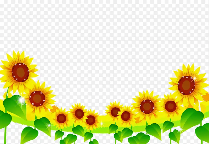 花卉设计 普通向日葵 花卉