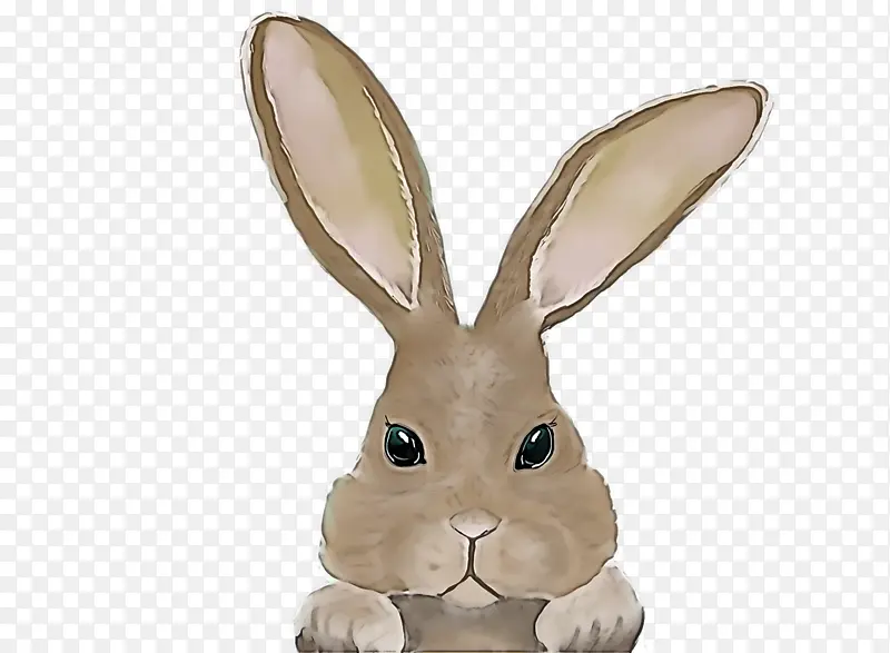 兔子 绘画 复活节兔子