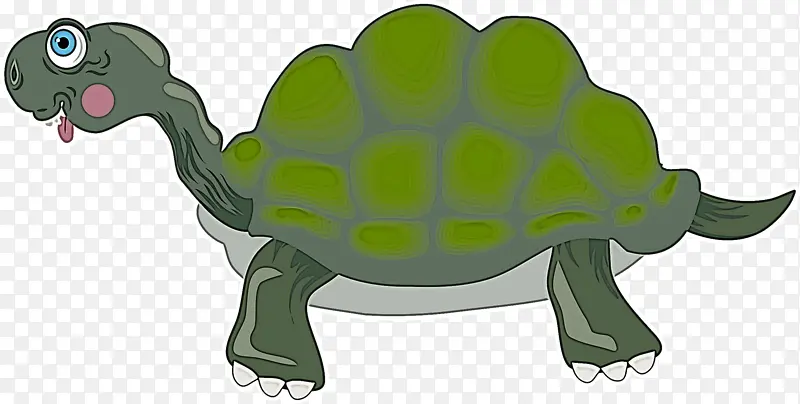乌龟 海龟 鼻子