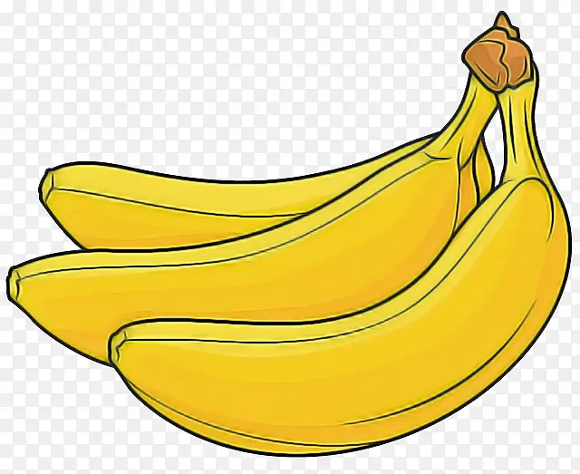 采购产品香蕉 烹饪香蕉 香蕉