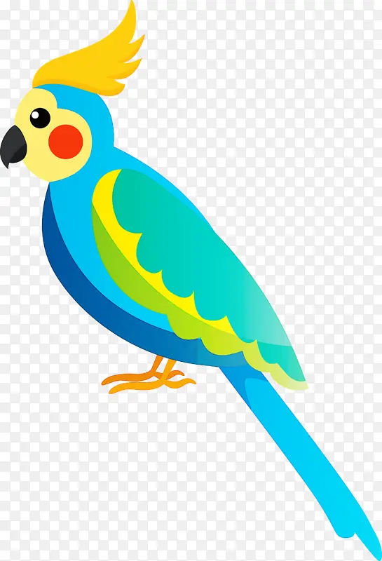 鸟类卡通 可爱的小鸟 小鸟