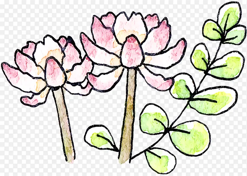 花卉设计 花卉 切花