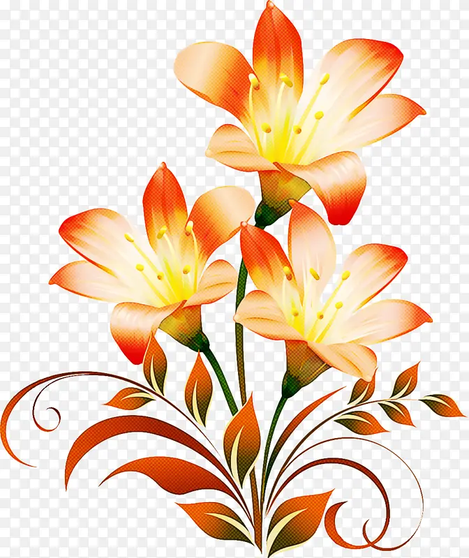 百合花 花卉设计 橙色百合