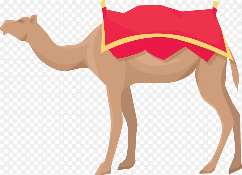 阿拉伯符号 单峰骆驼 狗