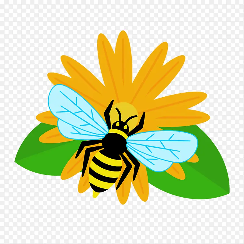 蜜蜂 黄色 蜂蜜