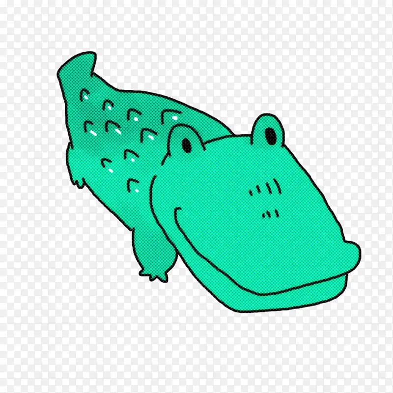 青蛙 蝾螈 真蛙