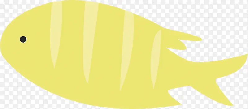 黄色 米 鱼