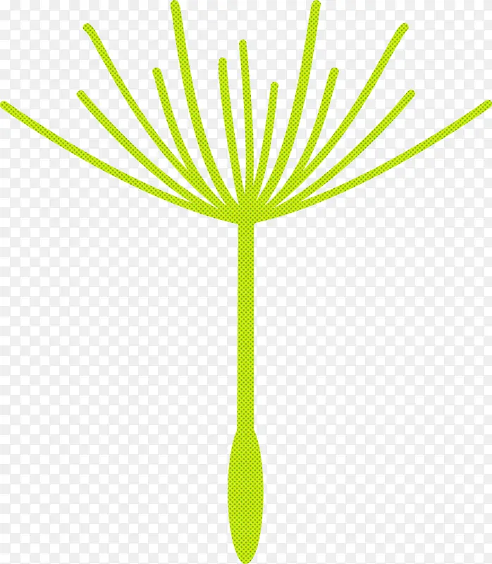 蒲公英 叶子 植物茎