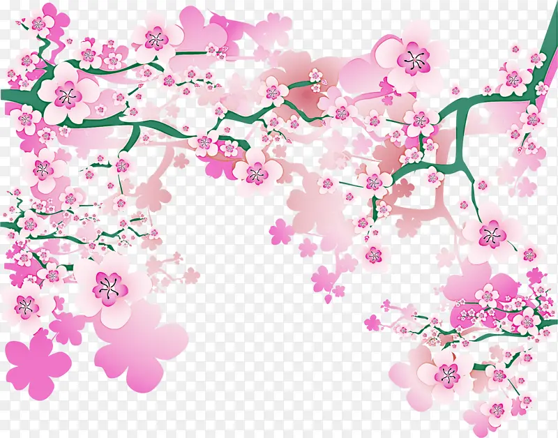 樱花 花卉设计 米