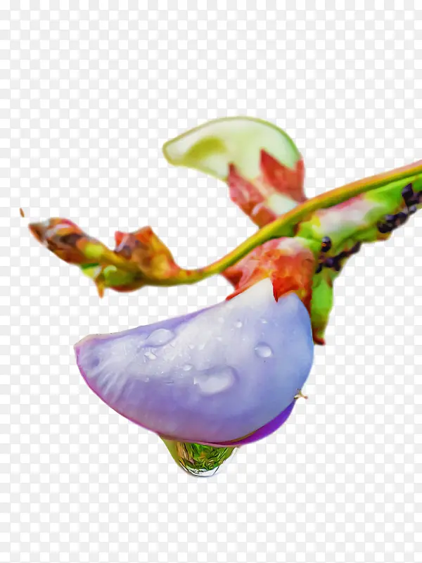 特写镜头
