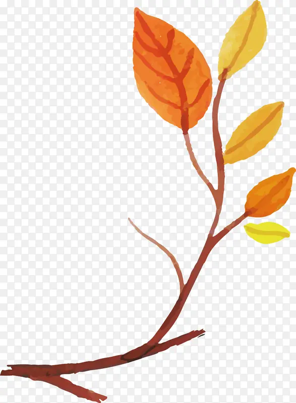 水彩画秋天 水彩画叶子 植物茎