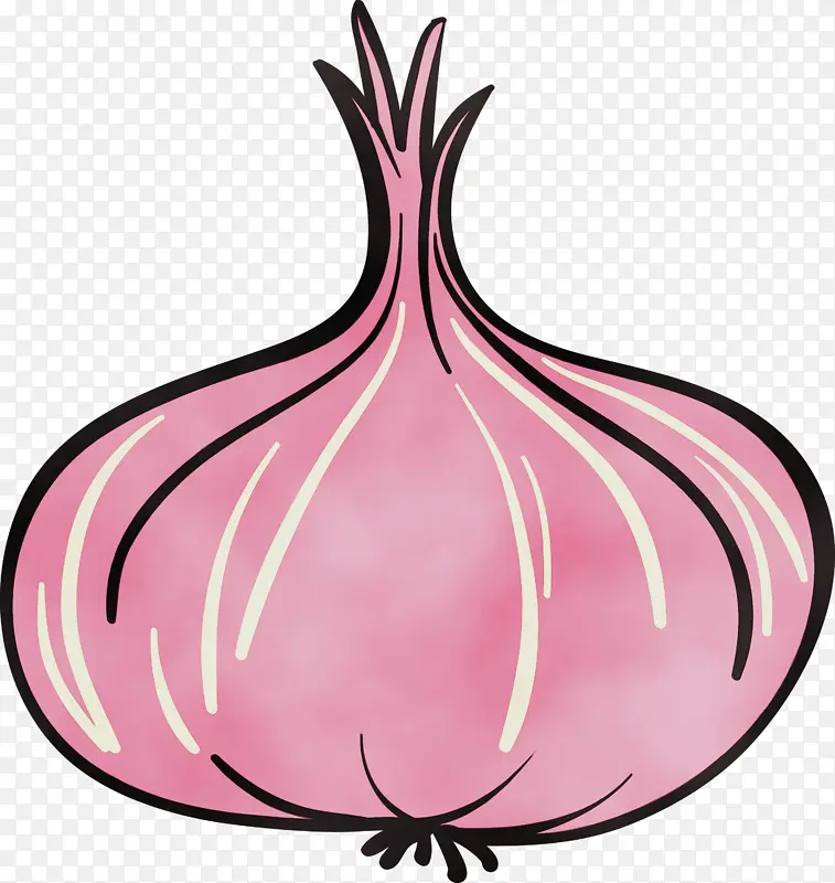 蔬菜 收获 秋天