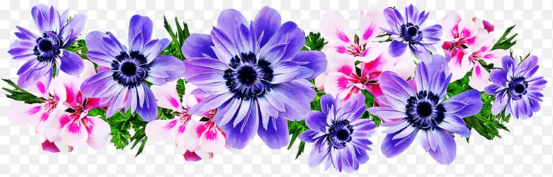 花卉设计 紫罗兰色 装饰品