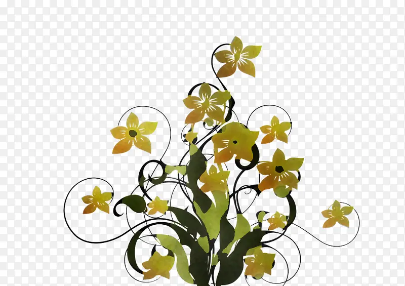 花卉设计 植物茎 切花