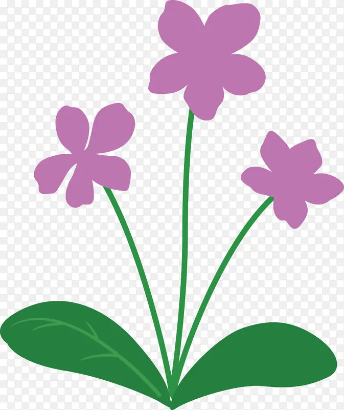 紫罗兰花 植物茎 花