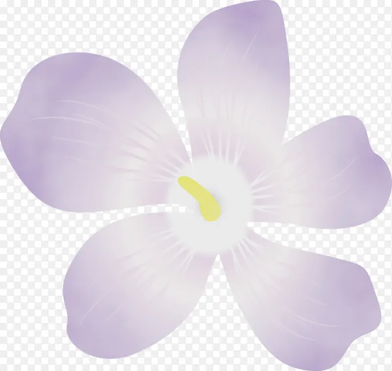 紫罗兰花 水彩画 颜料