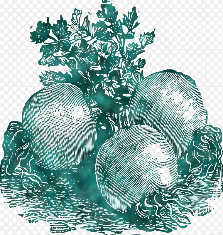 蔬菜 圣诞节 圣诞树