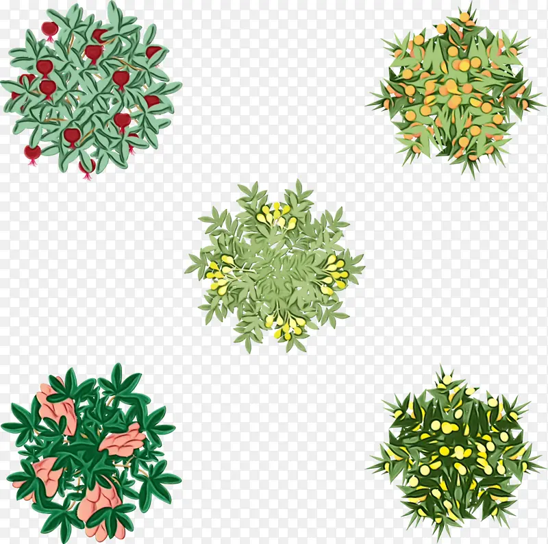 植物插画PNG图片素材下载_图片编号7112839-PNG素材网