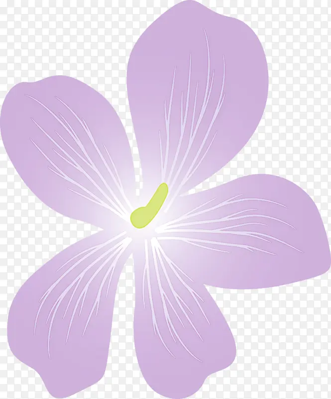 紫罗兰花 花朵 紫罗兰