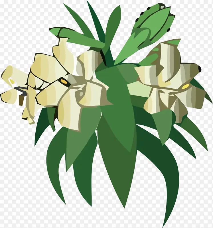 叶 植物茎 花卉设计