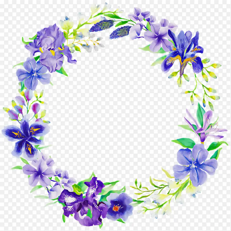 切花 花卉设计 紫罗兰