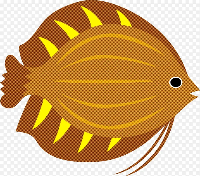 黄色 喙 鱼