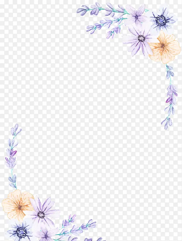 花卉设计 紫罗兰 新郎