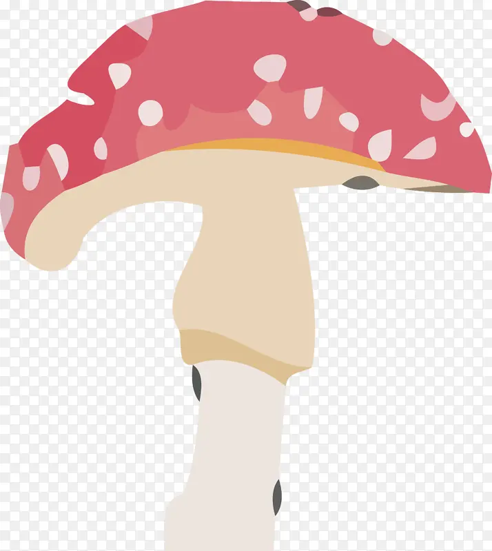 蘑菇 帽子 卡通