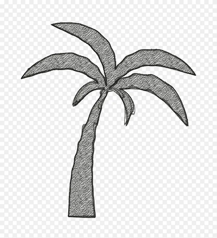 自然图标 棕榈树图标 海滩图标