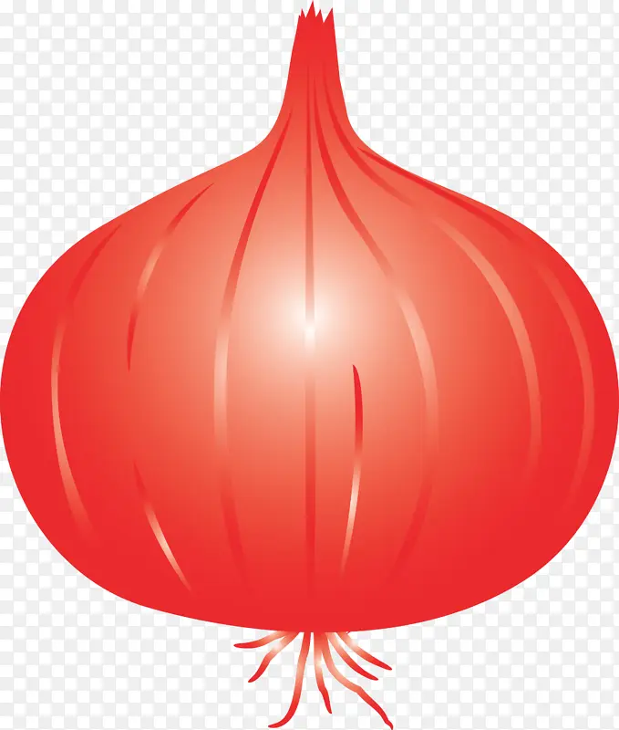 洋葱 红色 球体