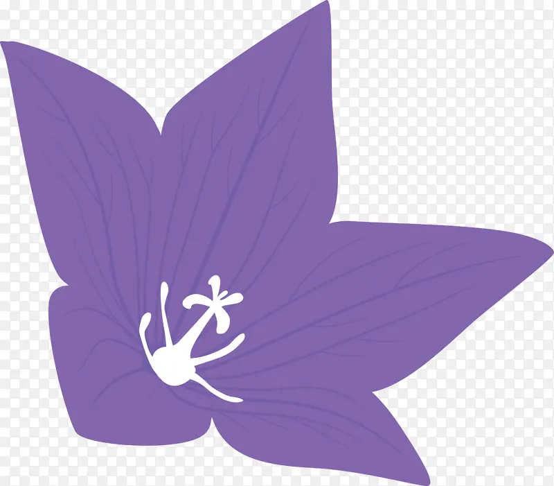 气球花 蝴蝶 紫罗兰