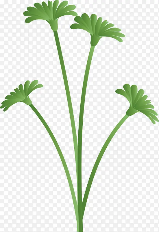蒲公英花 叶 植物茎